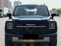 Haval Manlong New Energy Hi4 150 Pro LFP - photo 1