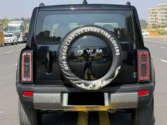 Haval Manlong New Energy Hi4 150 Pro LFP - photo 4