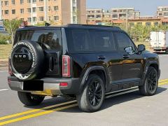 Haval Manlong New Energy Hi4 150 Pro LFP - photo 5