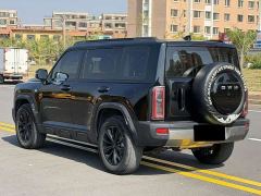 Haval Manlong New Energy Hi4 150 Pro LFP - photo 6