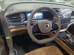 Denza D9 DM-i 970 AWD Premium Edition - ფოტო 10