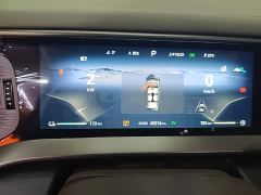 Denza D9 DM-i 970 AWD Premium Edition - ფოტო 11