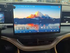 Denza D9 DM-i 970 AWD Premium Edition - ფოტო 12