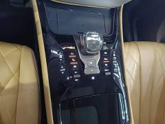 Denza D9 DM-i 970 AWD Premium Edition - ფოტო 13