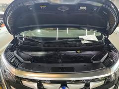 Denza D9 DM-i 970 AWD Premium Edition - ფოტო 19