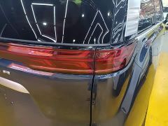 Denza D9 DM-i 970 AWD Premium Edition - ფოტო 7