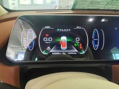 ORA Good Cat 400km Standard Range Athena Edition LFP Battery - фото 11