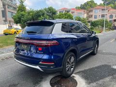 BYD Song Pro New Energy DM-i 51km Premium - photo 6