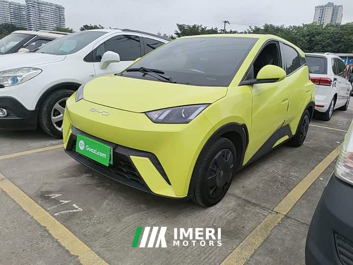 BYD Seagull Vitality Edition - car from China