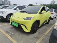 BYD Seagull Vitality Edition - photo 1