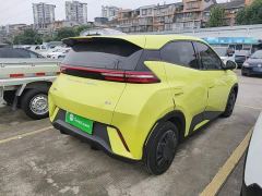 BYD Seagull Vitality Edition - photo 6