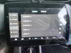 Leapmotor T03 400 Luxury Edition - photo 20