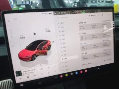 Tesla Model 3 Rear-Wheel Drive - ფოტო 11