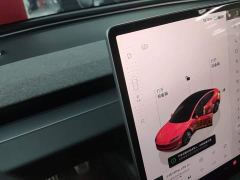 Tesla Model 3 Rear-Wheel Drive - ფოტო 13