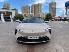 Buick Zhijing L7 Extended Range Avvia - фото 2