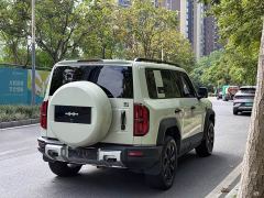Fangchengbao Leopard 5 Navigator Edition - ფოტო 13