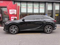 Lexus RX 350h FWD Pleasure Edition - ფოტო 8