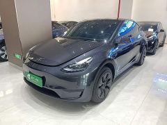 Tesla Model Y Rear-Wheel Drive - photo 1