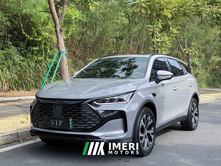 BYD Tang New Energy Smart Driving DM-i 115KM Premium Edition - car from China