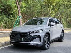 BYD Tang New Energy Smart Driving DM-i 115KM Premium Edition - photo 1