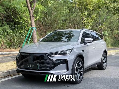 2025 BYD Tang New Energy Smart Driving DM-i 115KM Premium Edition