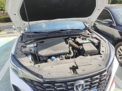Changan Eado PLUS Blue Whale NE 1.4T GDI DCT High Performance Edition - фото 19