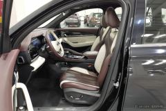 Geely L 2.0T 2WDPremium Version - photo 13