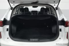 Haval H6 Gen 3 1.5T 2WD Max - ფოტო 20
