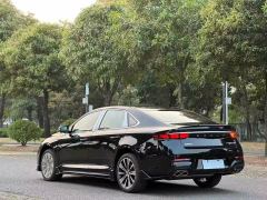 Geely Xingui 1.5T Edition - ფოტო 19