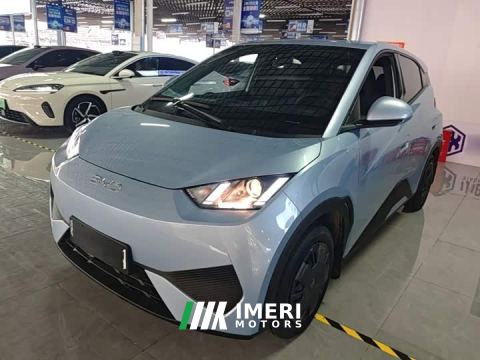 2026 BYD Seagull Smart Drive 305km Vitality Edition - car from China
