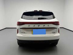 Haval H6 Third Generation 2.0T Automatic AWD Supreme - ფოტო 5