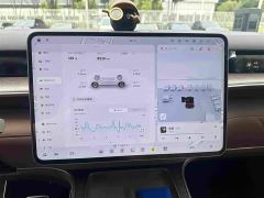 NIO ES9 102kWh Executive Island Signature Edition - фото 5