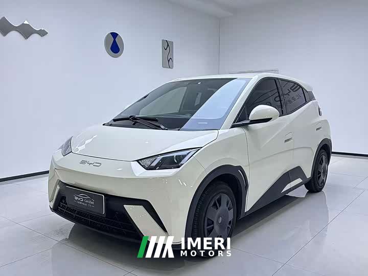 BYD Seagull Glory Edition 305km Vitality Version - ავტომობილი ჩინეთიდან