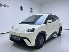 BYD Seagull Glory Edition 305km Vitality Version - ფოტო 1