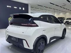 BYD Seagull Glory Edition 305km Vitality Version - ფოტო 12