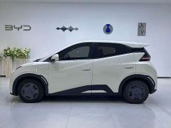 BYD Seagull Glory Edition 305km Vitality Version - ფოტო 2