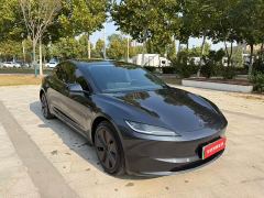 Tesla Model 3 Rear-Wheel Drive - ფოტო 3