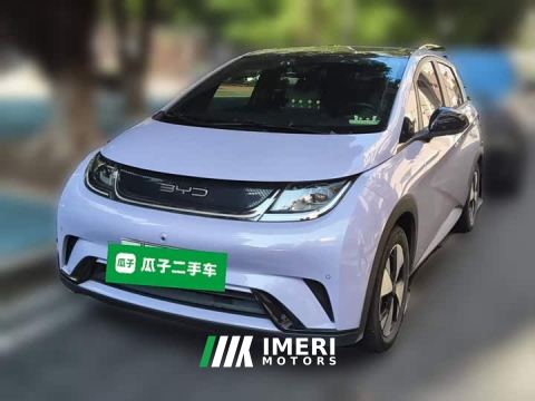 2023 BYD Dolphin 420km Fashion Edition - car from China