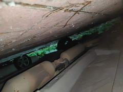 Dongfeng Fengshen AX7 Mach Edition 1.5T DCT DF31 - фото 17