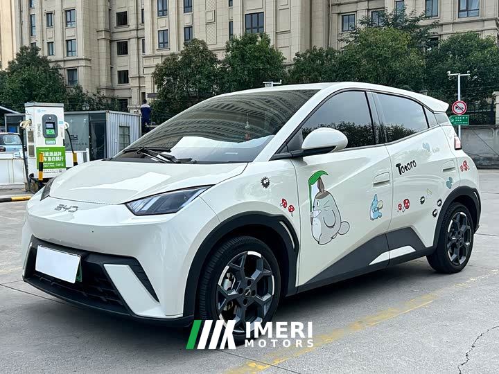 BYD Seagull 305km Freedom Edition - ავტომობილი ჩინეთიდან