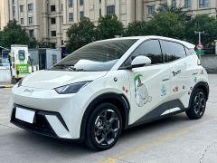 BYD Seagull 305km Freedom Edition - ფოტო 1