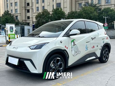 2025 BYD Seagull 305km Freedom Edition - car from China