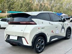 BYD Seagull 305km Freedom Edition - ფოტო 12