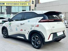 BYD Seagull 305km Freedom Edition - ფოტო 13