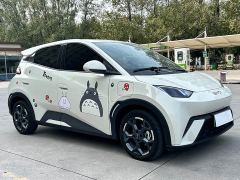 BYD Seagull 305km Freedom Edition - ფოტო 3