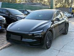 Tesla Model Y Rear-Wheel Drive - photo 1