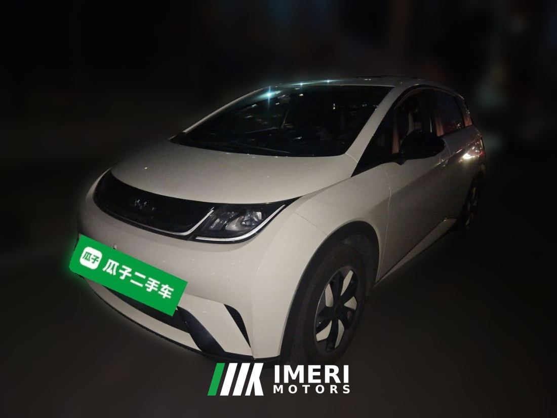 BYD Dolphin 420km Edition - car from China