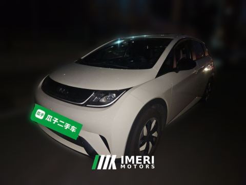 2025 BYD Dolphin 420km Edition - car from China