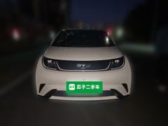 BYD Dolphin 420km Edition - photo 2