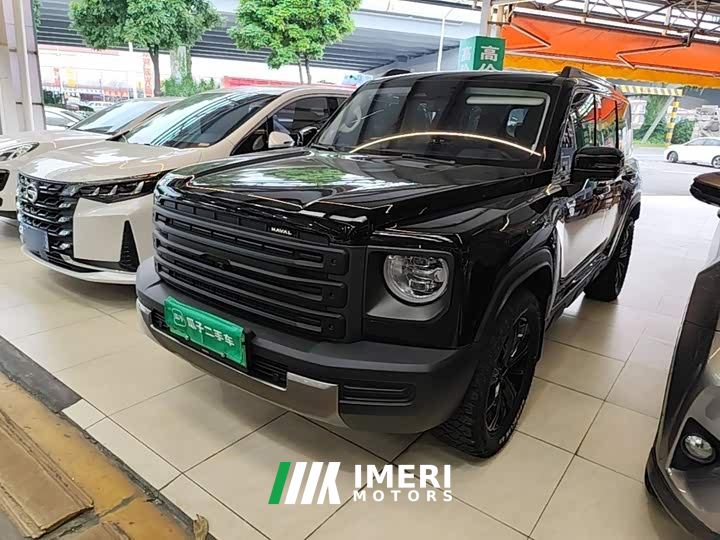 Haval Manlong New Energy Hi4 145 Pro - ავტომობილი ჩინეთიდან